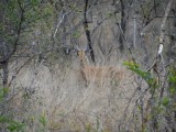 DSC05350