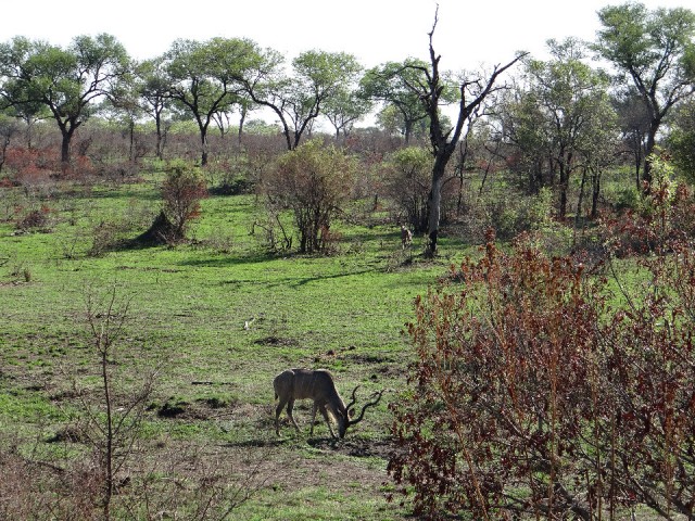 DSC05425
