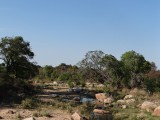 DSC05435