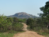 DSC05436