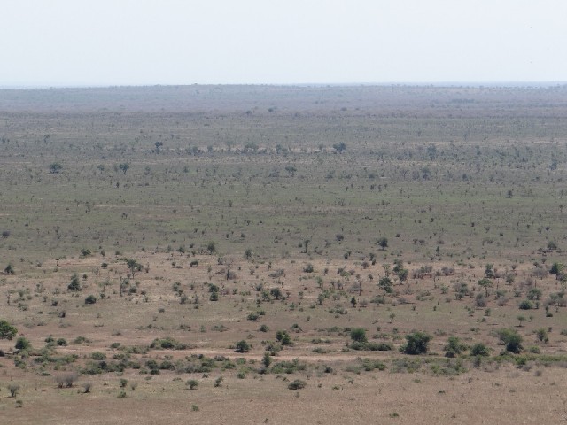 DSC05574