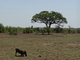 DSC05591