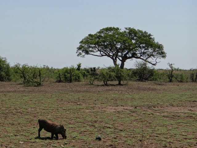 DSC05591