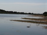 DSC05610