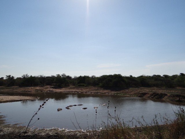 DSC05615
