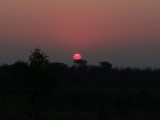 Kruger sunrise