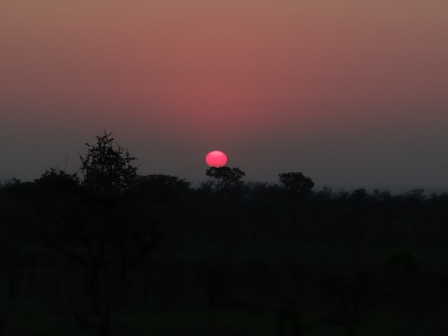 Kruger sunrise
