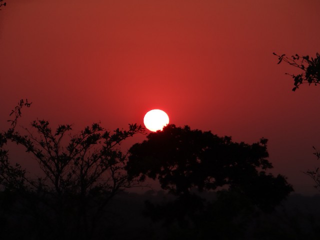 DSC05677