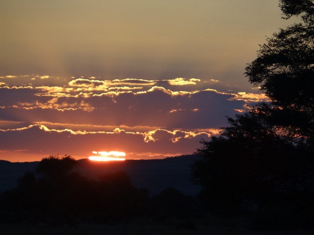 DSC06033