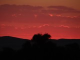 DSC06048
