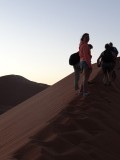 Dune 45