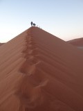 Dune 45