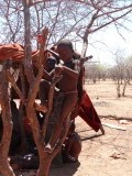 Himba