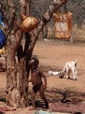 Himba