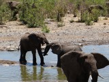 Etosha