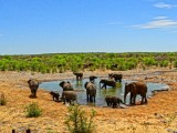 Etosha