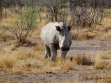 Etosha