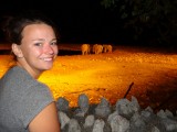 Watching elephants at night