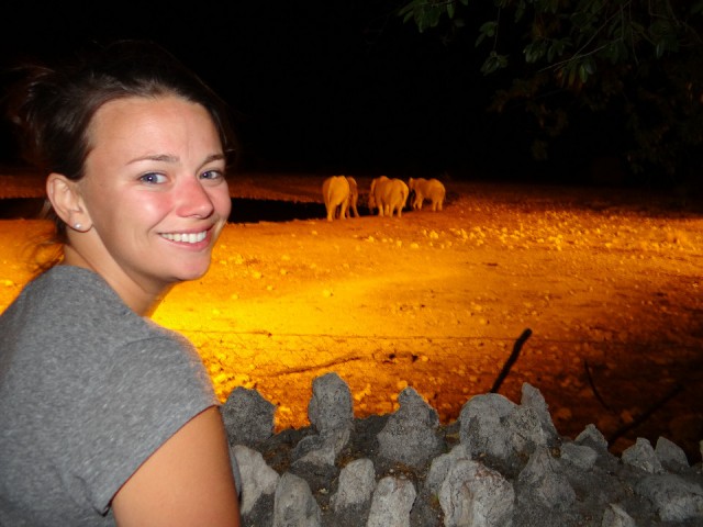 Watching elephants at night