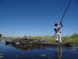 okavango delta