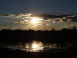 safariwalk