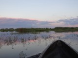 okavango