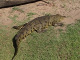 Chobe