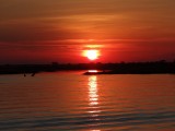 Chobe sunset cruise