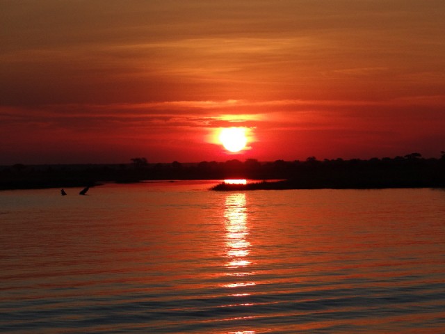Chobe sunset cruise