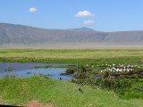 DSC08334
