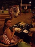 Dinner at Vic Falls hotel