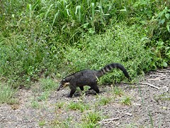 thumb_DSC00353_1024
