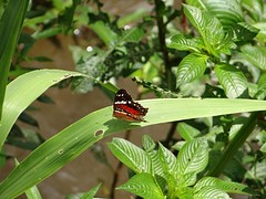 thumb_DSC00351_1024