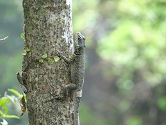 thumb_DSC00317_1024