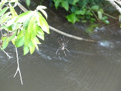 thumb_DSC00296_1024
