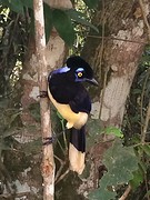thumb_IMG_7675_1024