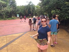 thumb_IMG_7621_1024