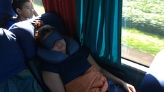 17.5 hr bus