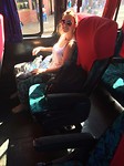 thumb_IMG_7863_1024