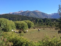 thumb_IMG_8669_1024