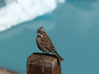 DSC01184