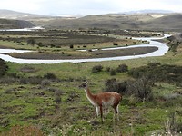 DSC01254