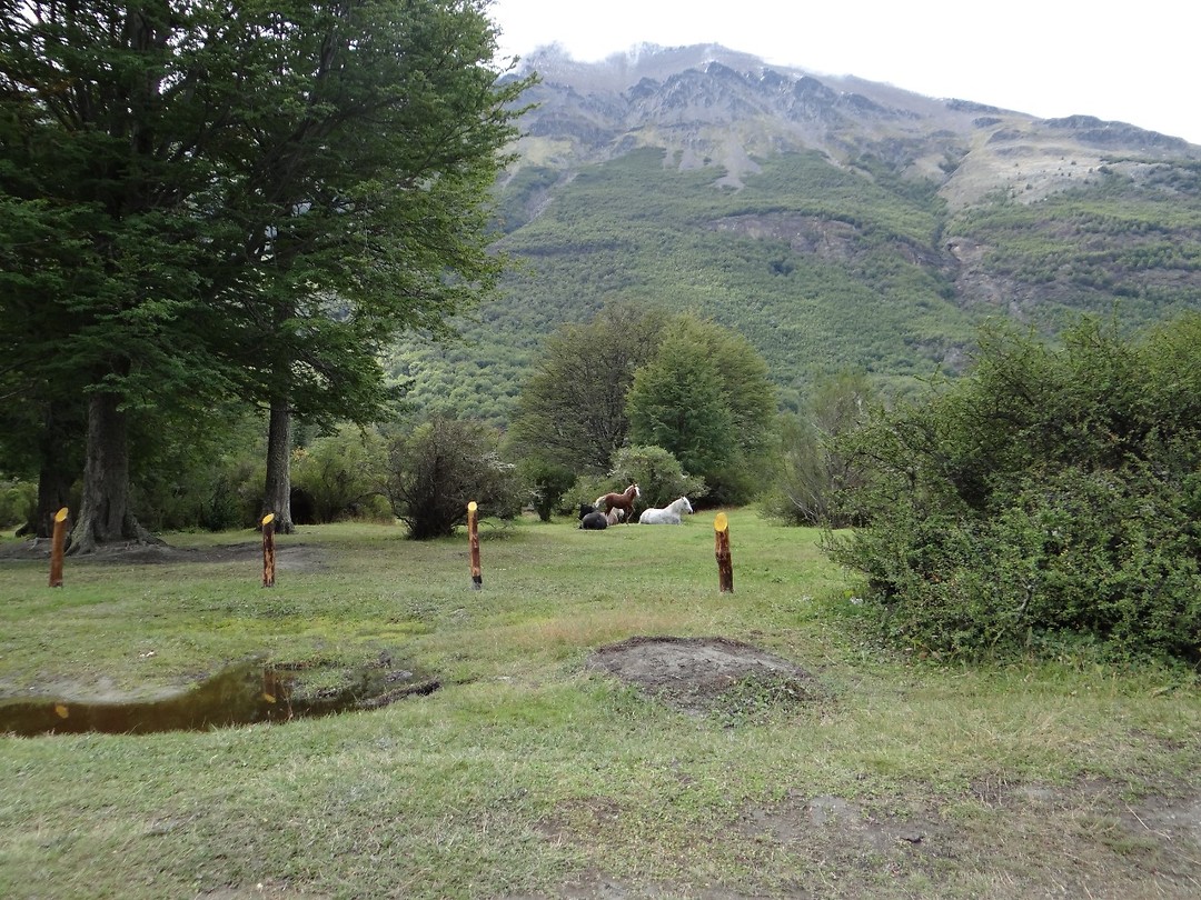 DSC01340