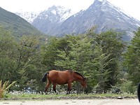 Ushuaia - Tierra del Fuego National Park