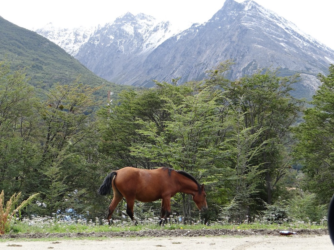 Ushuaia - Tierra del Fuego National Park