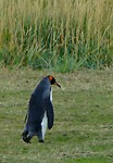 DSC01458-1