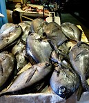 DSC01534-1