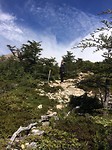 Fitzroy hike