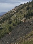 IMG_9768
