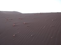 San Pedro - Valle de la Luna